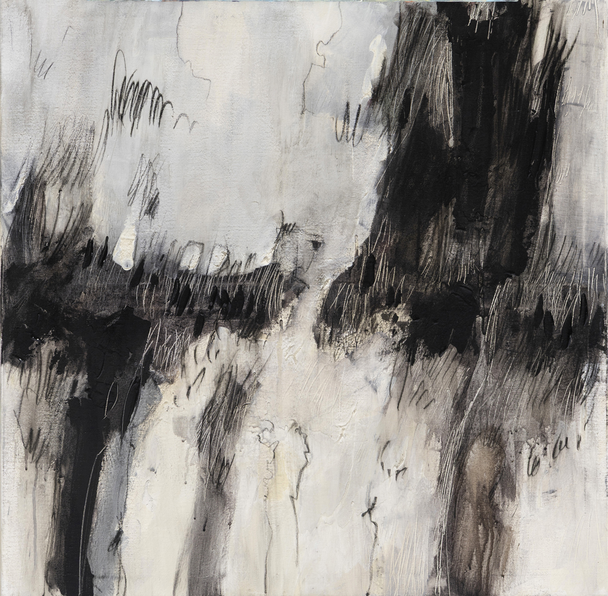 Roots, 80x80cm, aoc